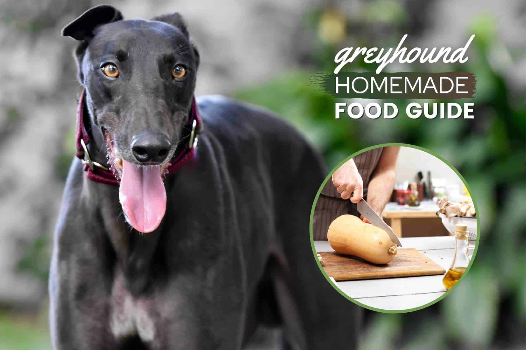 greyhound homemade dog food