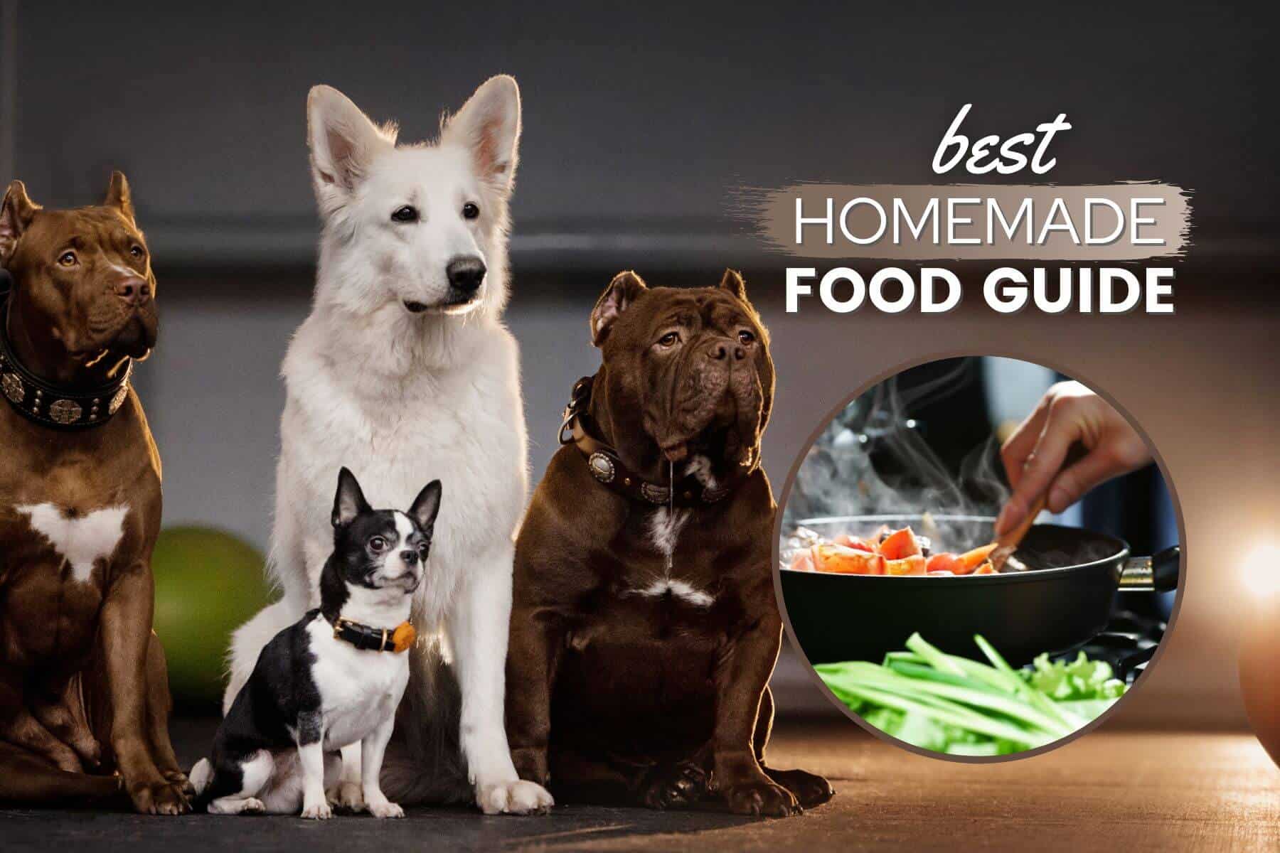 Homemade Dog Food: Vet-Approved Recipes For Dogs · The Wildest