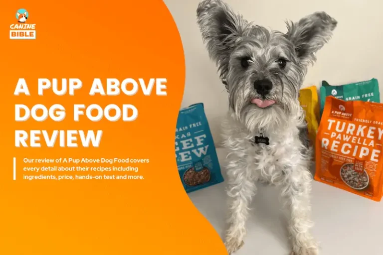 A Pup Above Dog Food Reviews: Hands-On, Tasting Test, Price & More