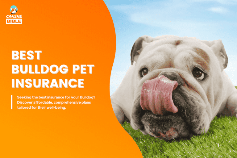 best pet insurance for bulldogs