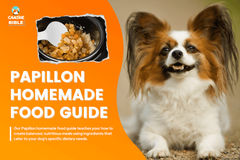 Homemade Dog Food For Papillons Guide & Recipes