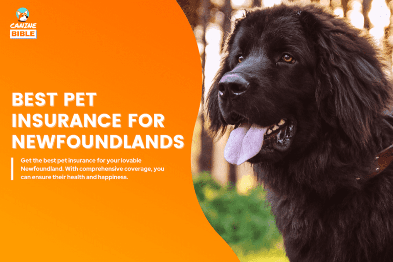 Best Pet Insurance For Newfoundlands: Ultimate Guide