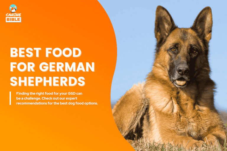 best dog food for german shepherds