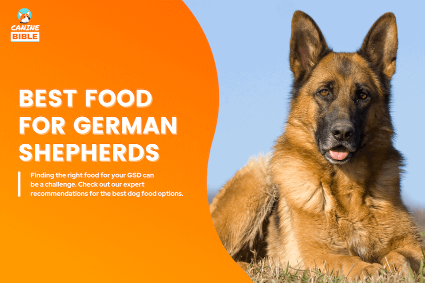 best dog food for german shepherds