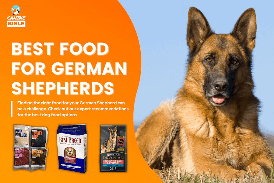 best dog food for german shepherds