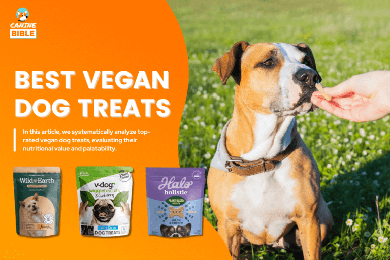 best vegan dog treats