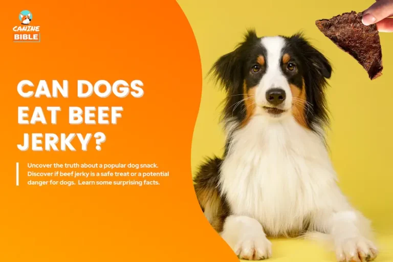 Can Dogs Eat Beef Jerky? Is It Bad or Good?