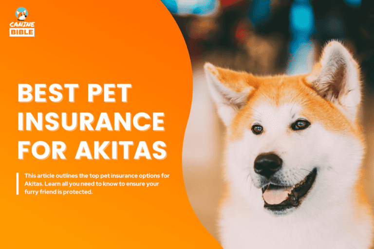 Top Pet Insurance For Akitas: Cost, Plans & FAQs