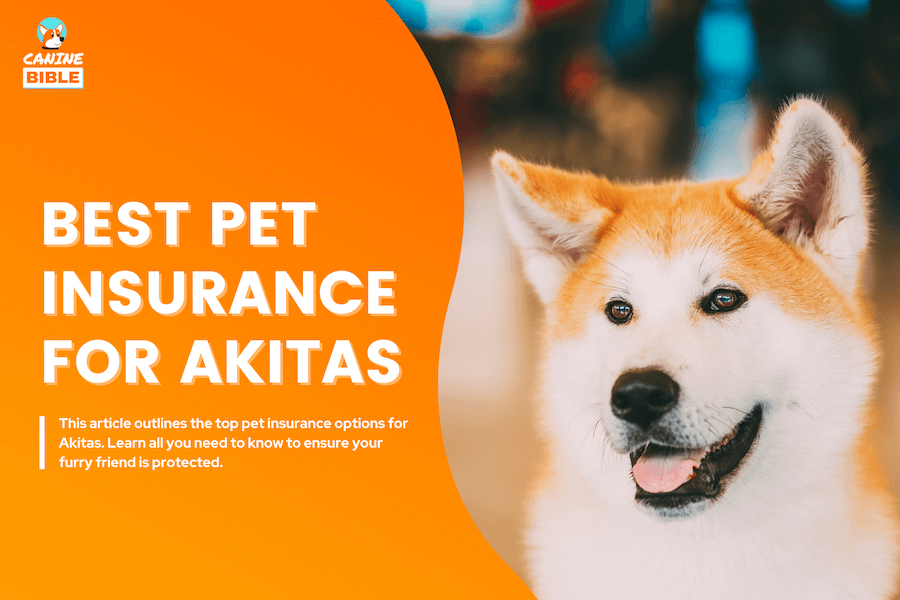 pet insurance for akitas