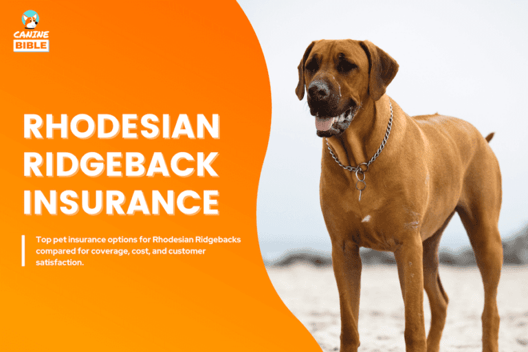Top Pet Insurance For Rhodesian Ridgebacks