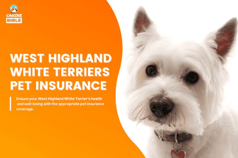 Top Pet Insurance For West Highland White Terriers: Cost & Quotes