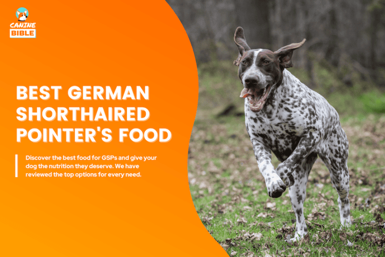 best dog food for German Shorthaired Pointers