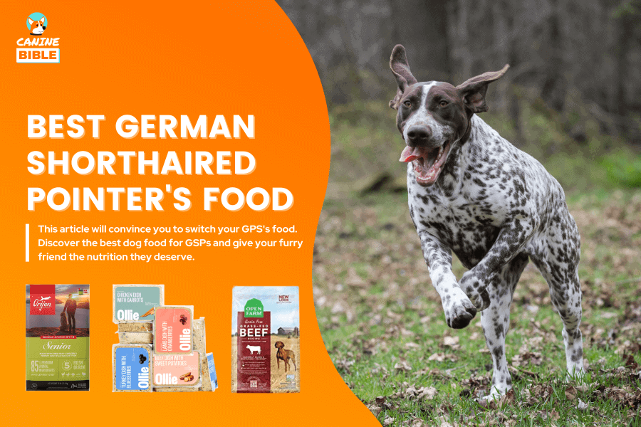 best dog food for German Shorthaired Pointers