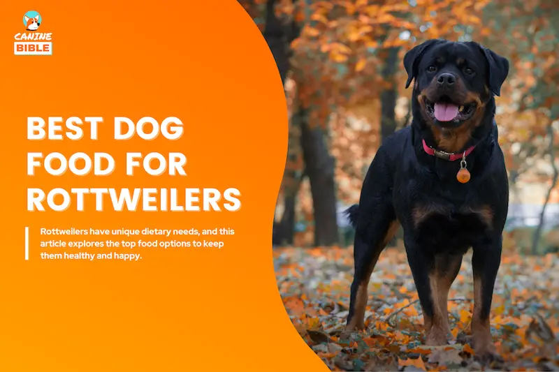 best dog food for rottweilers