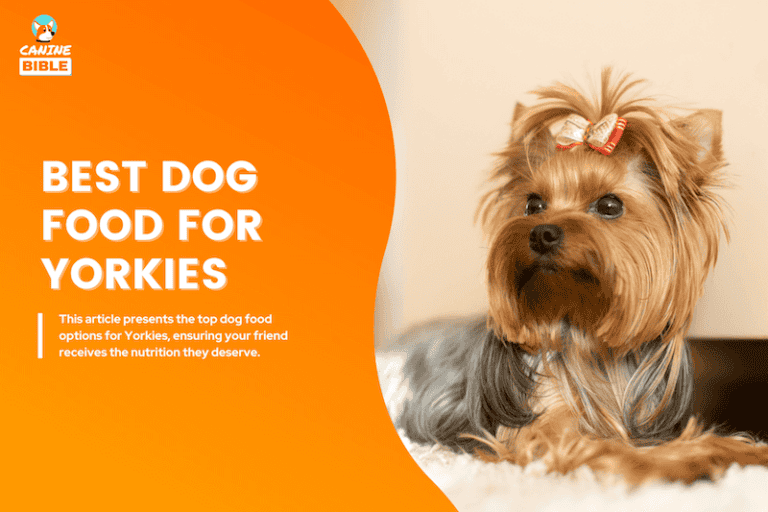 best dog food for Yorkshire Terriers