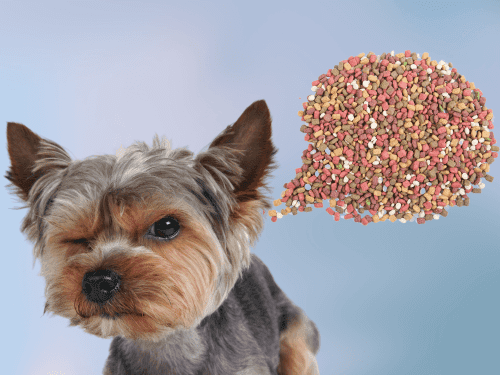 best dog food for Yorkshire Terriers Chapter 2
