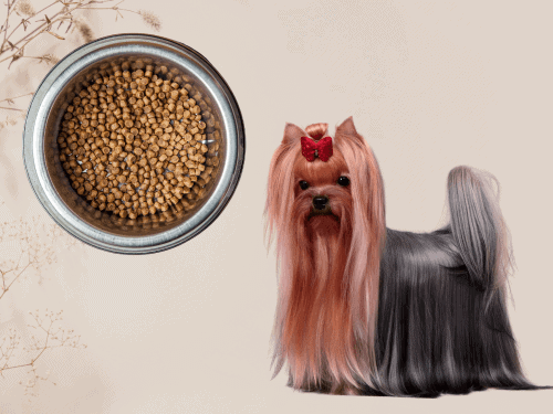 best dog food for Yorkshire Terriers Chapter 3