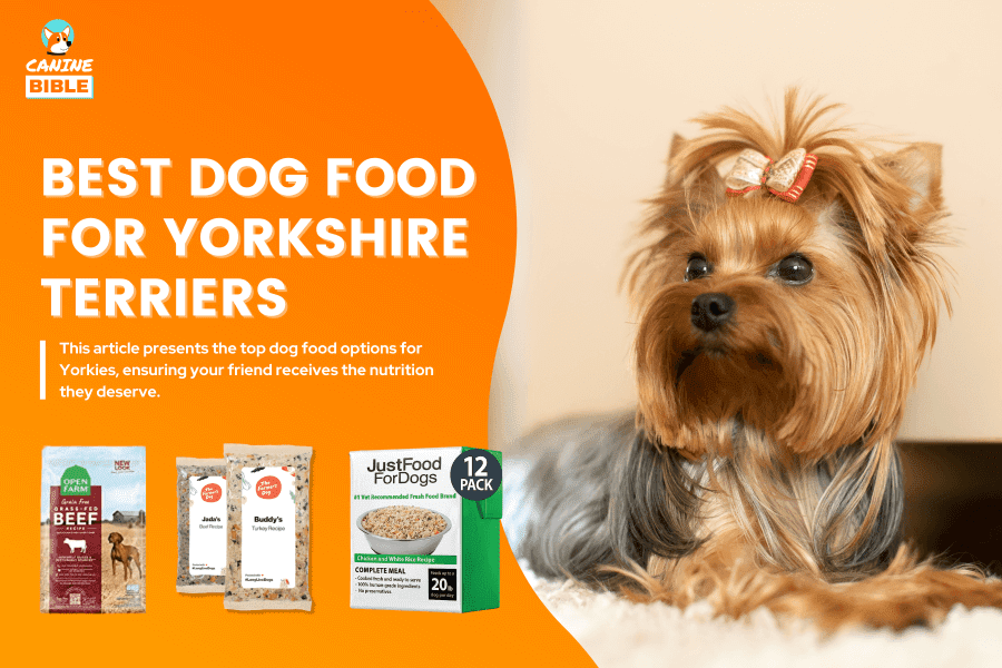 best dog food for Yorkshire Terriers