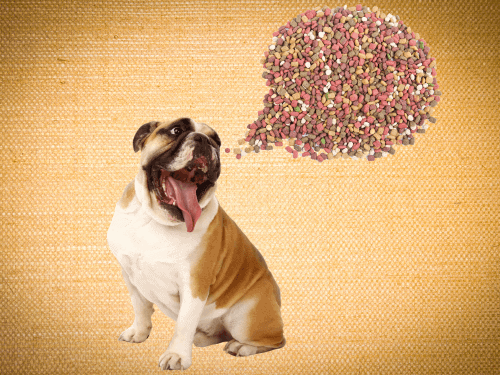 best dog food for bulldogs chapter 1