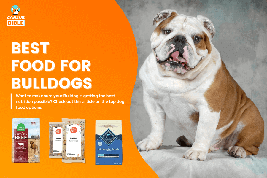 best dog food for bulldogs