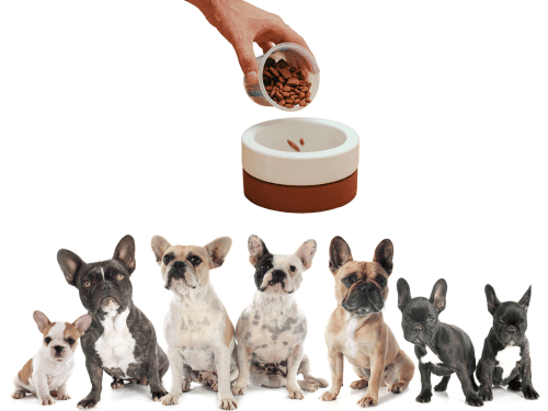 best dog food for french bulldog chapter 1
