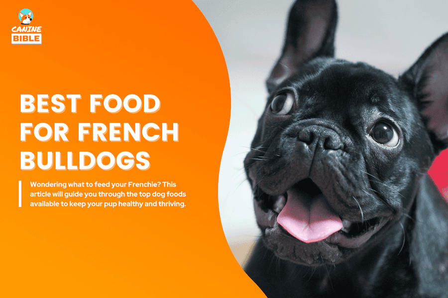 best dog food for french bulldog