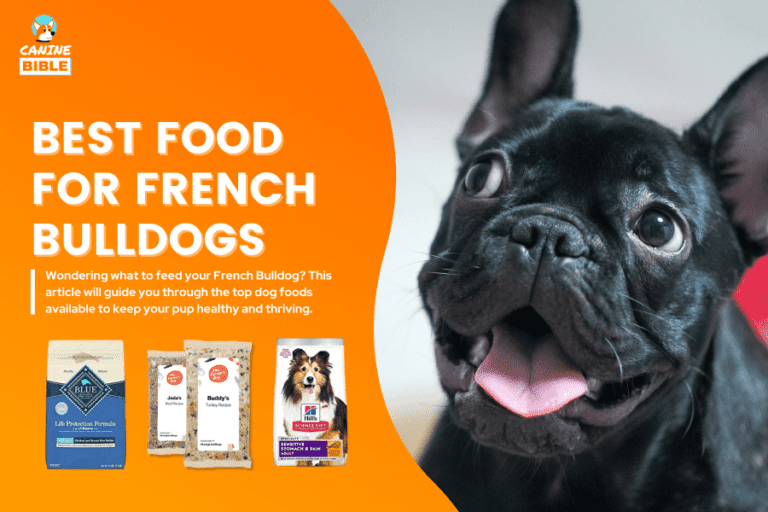 Best Dog Food For French Bulldogs: For Puppies, Allergies, Gas, Adults, Seniors & More