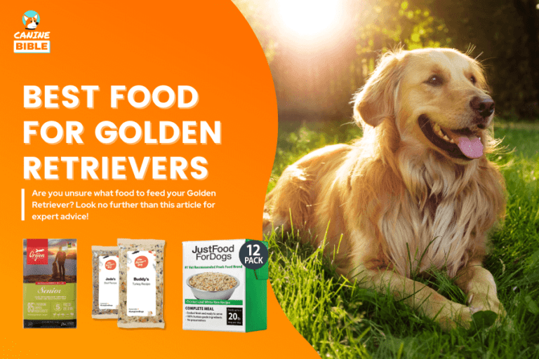 Best Dog Food For Golden Retrievers 2024: Reviews & Picks