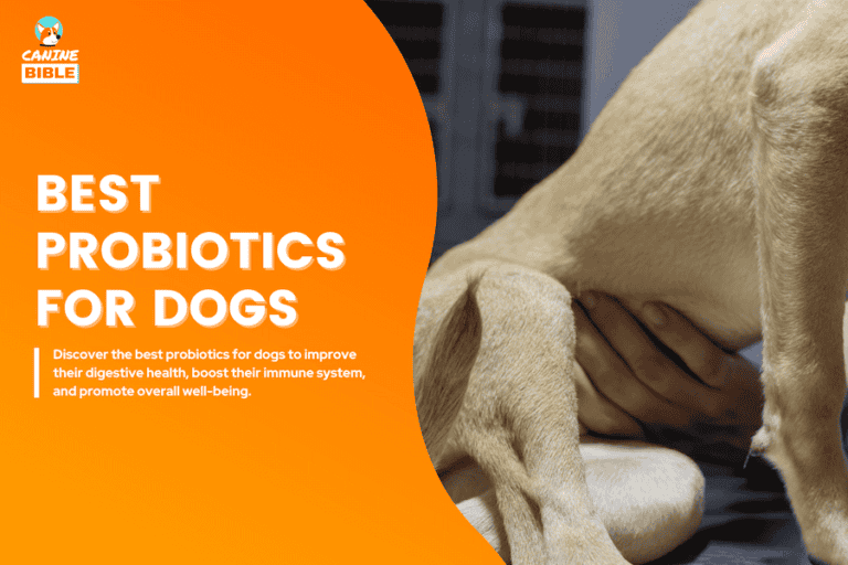 best probiotics for dogs