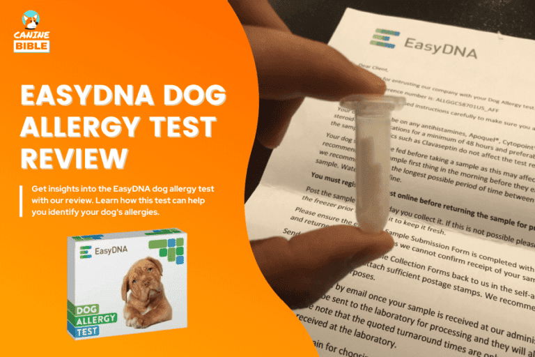 Easy DNA Dog Allergy Test Reviews 2024  — Discover Dog Allergies [My Dog’s Results]