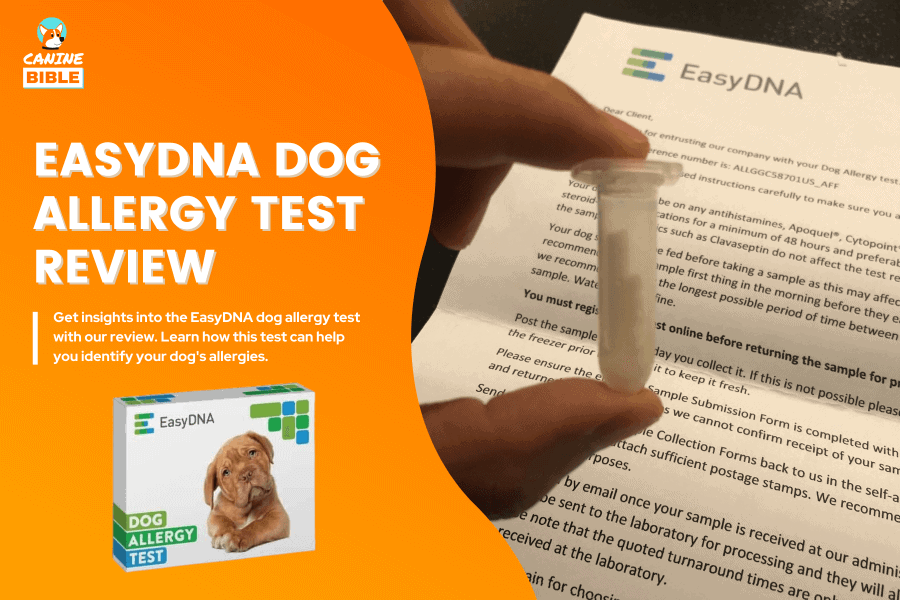 EasyDNA dog allergy test review
