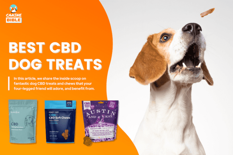 Best CBD Dog Treats 2024: Chews, Biscuits, Cookies, Gummies & More
