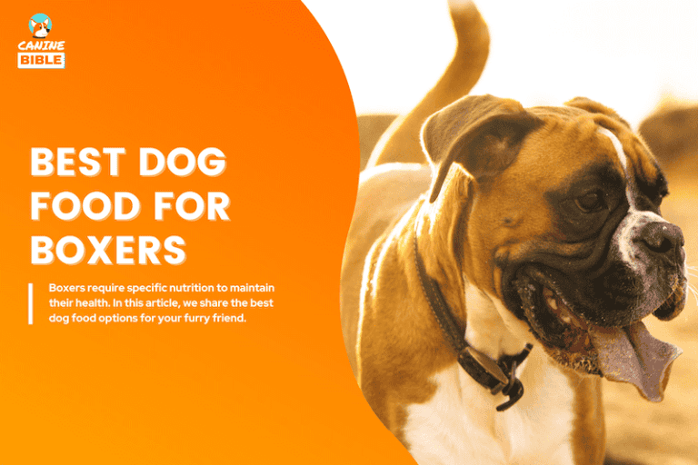 Best Dog Food For Boxers in 2025: Breed-Specific Picks