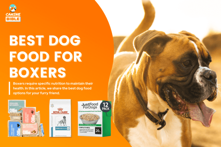 Best Dog Food For Boxers 2023: Breed-Specific Picks
