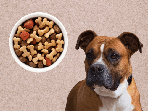 best dog food for Boxer Chapter 3