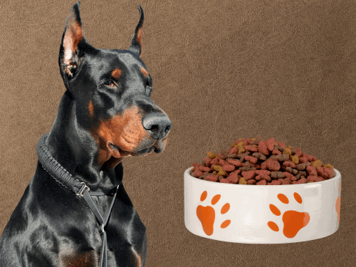 best dog food for Doberman Pinschers chapter3