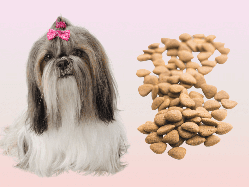 best dog food for shih tzu chapter 1