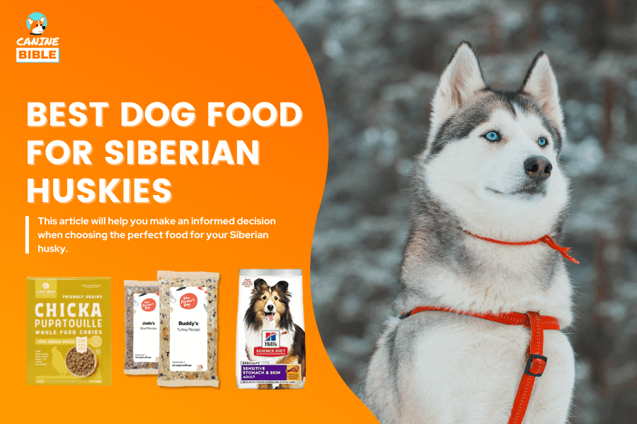best dog food for Siberian Huskies