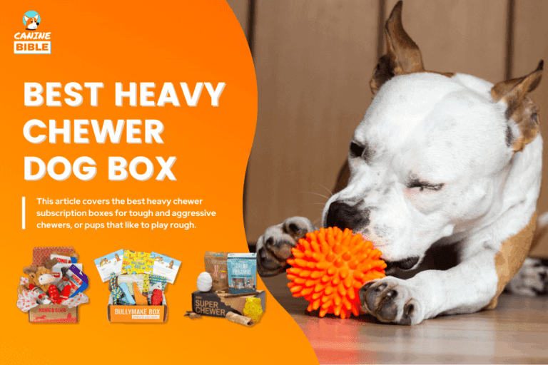 6 Best Dog Toy Subscription Box For Heavy, Tough Chewers — BarkBox Super Chewer vs Bullymake vs Kong Box