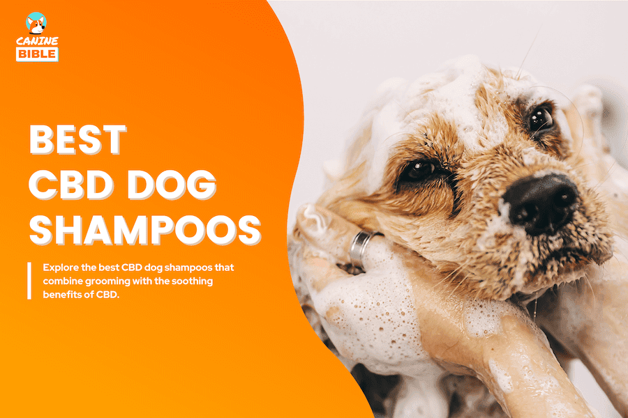 cbd dog shampoos