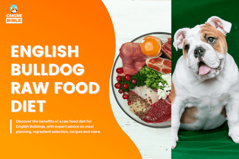English Bulldog Raw Dog Food Diet Guide: Recipes, Benefits & FAQs