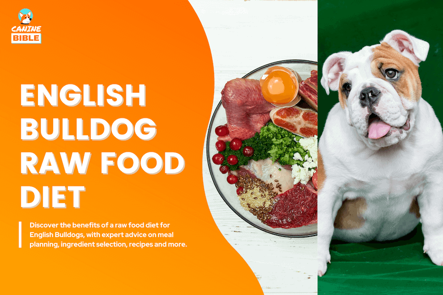 english bulldog raw food diet