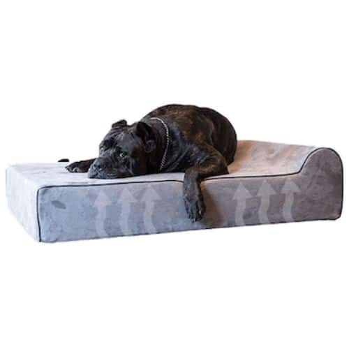 Bully bed Infrared FDA Determined