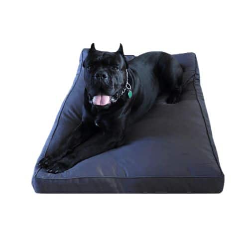 Bully bed chew resistant