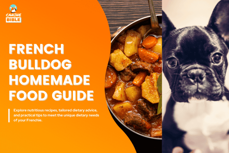 Best French Bulldog Homemade Food Recipes: Easy & Healthy