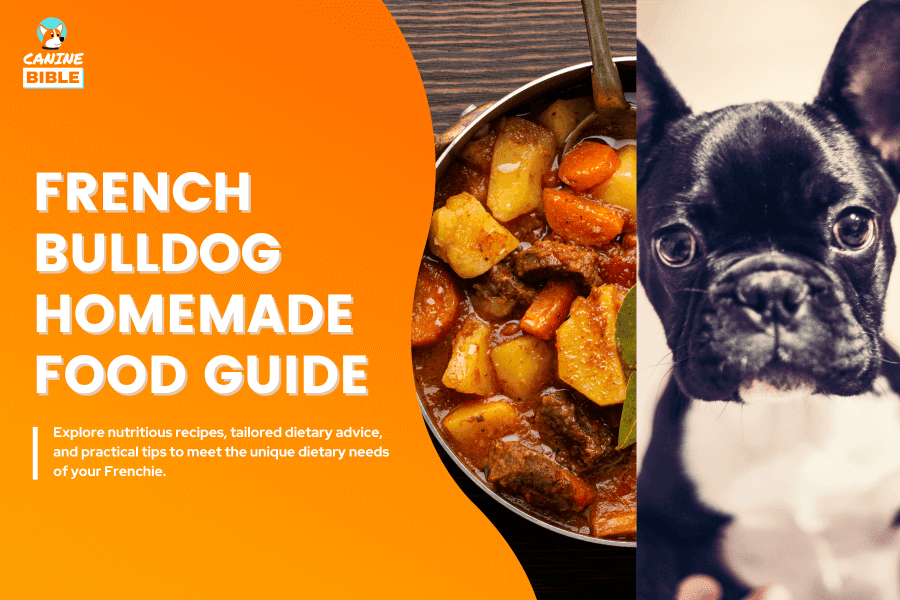 Easy French Bulldog Food Recipes 2023 - AtOnce