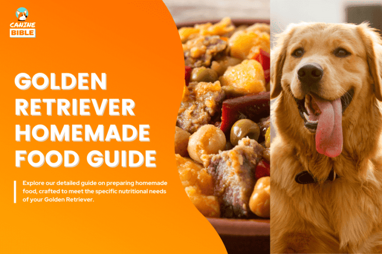 Golden Retriever Homemade Dog Food Recipes & Guide [Adult & Puppy]
