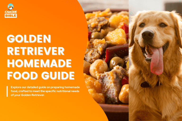 Homemade Food For Golden Retriever