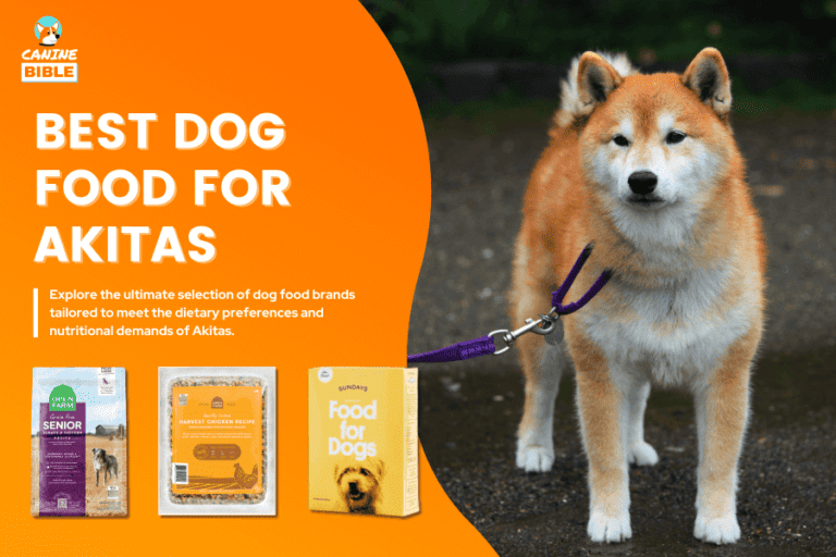 Best Dog Food For Akitas 2024 [Vet Picks & Guide]