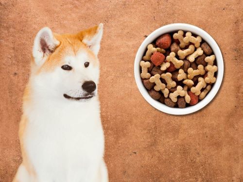 Best Dog Food For Akitas chapter 1